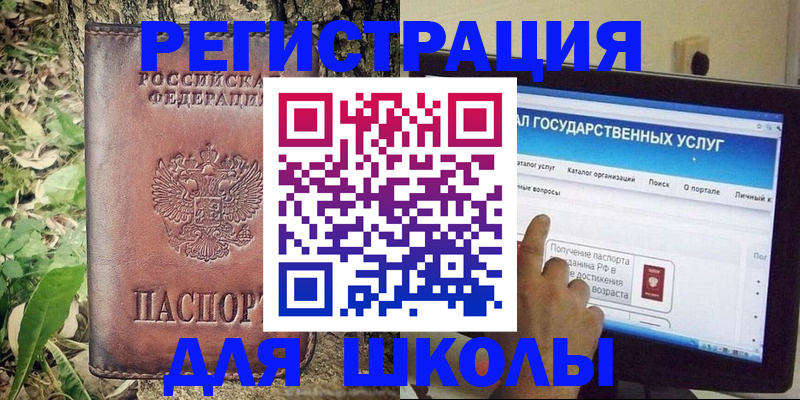прописка для школы в Лосино-Петровском